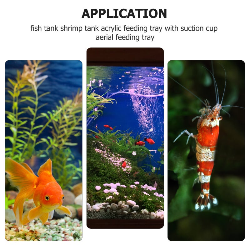 5Pcs Aquarium Feeding Device Shrimp Feeder Fish Feeder with Cup - Image 4