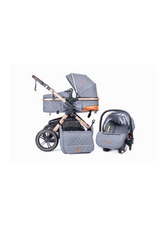 Gray with baby carrier / car seat