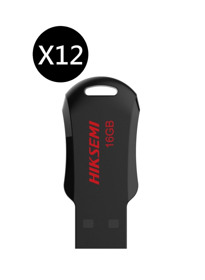 HIKSEMI Bundle Of 12 16GB USB 2.0 NRB Pendrive, Black | hs-usb-m200r 16g |