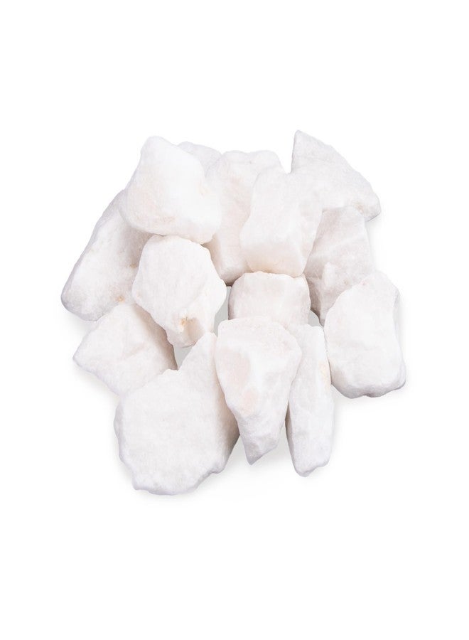 Verplexter Shrimp Rocks for Aquarium, 3-oz - Image 1