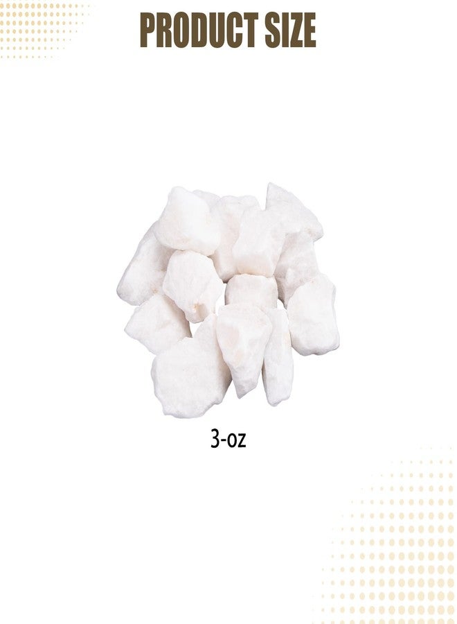 Verplexter Shrimp Rocks for Aquarium, 3-oz - Image 2
