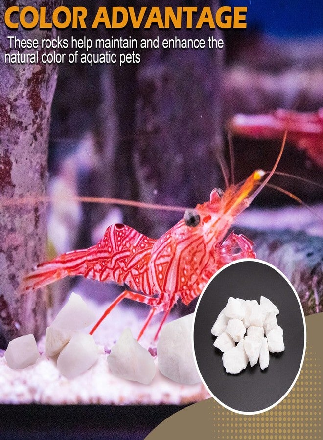 Verplexter Shrimp Rocks for Aquarium, 3-oz - Image 4