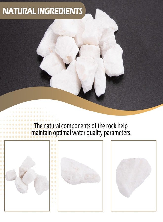 Verplexter Shrimp Rocks for Aquarium, 3-oz - Image 3