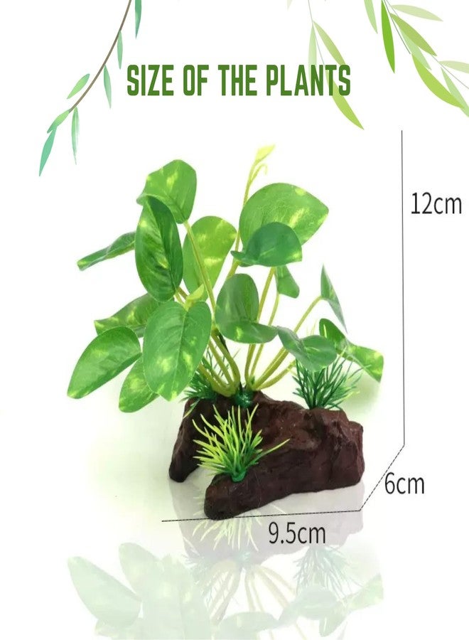 VAYINATO Plastic Aquarium Plant with Wooden Base - Realistic Aquatic Decor, Non-Toxic, Fade-Resistant, Safe for Fish - Natural-Looking Underwater Landscaping for Freshwater Aquarium Fish Tank - Image 5