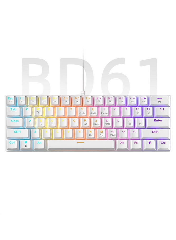 60%  White Wired Gaming Keyboard, 61 Keys RGB Backlit Wrist Rest Ultra-Compact Mini Waterproof Keyboard for PC Computer Gamer  - Image 1