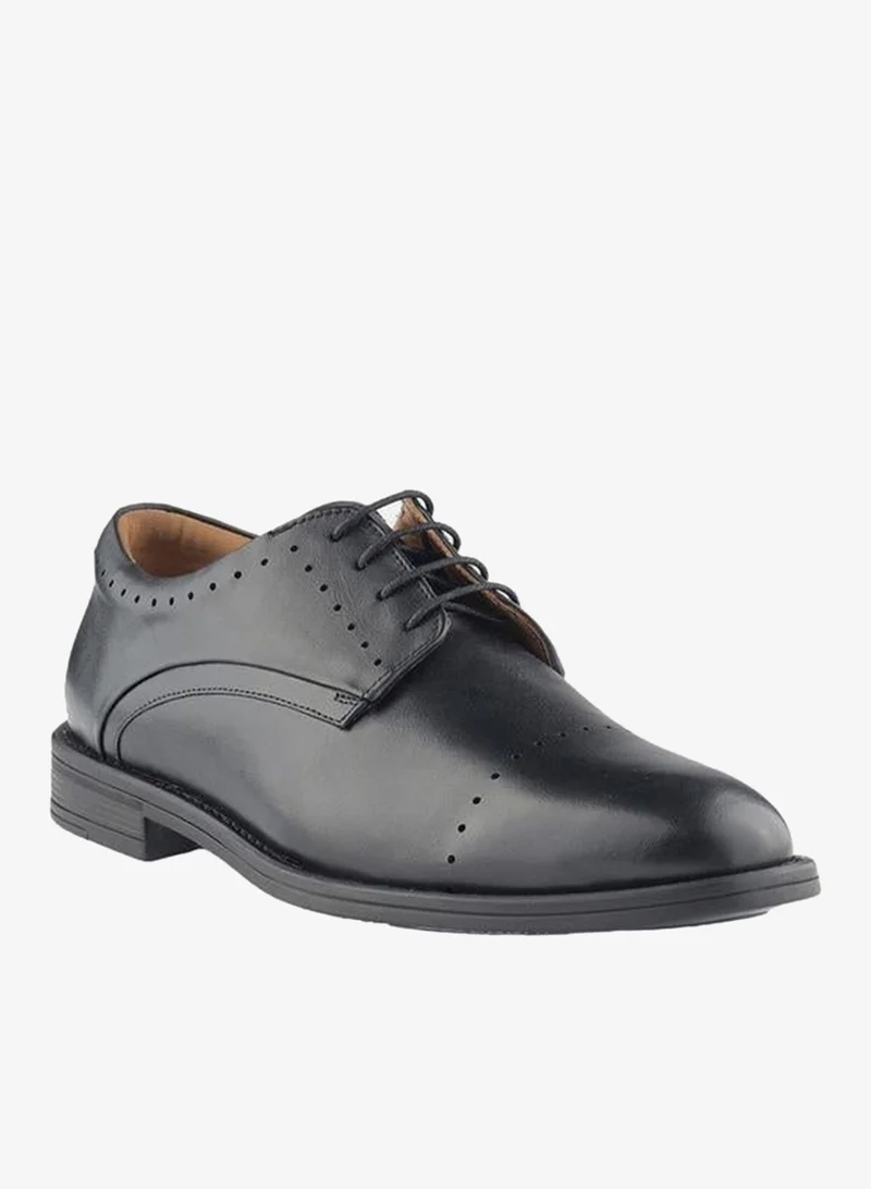 DUCHINI Men Lace-Up Derby Shoes