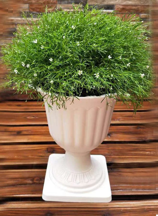 HOME TASTE Hometaste Plastic Plant Flower Seedlings Nursery Pot - Decorative Garden Pots Flower - Modern Decorative Gardening Containers (Style 1_ Big) 