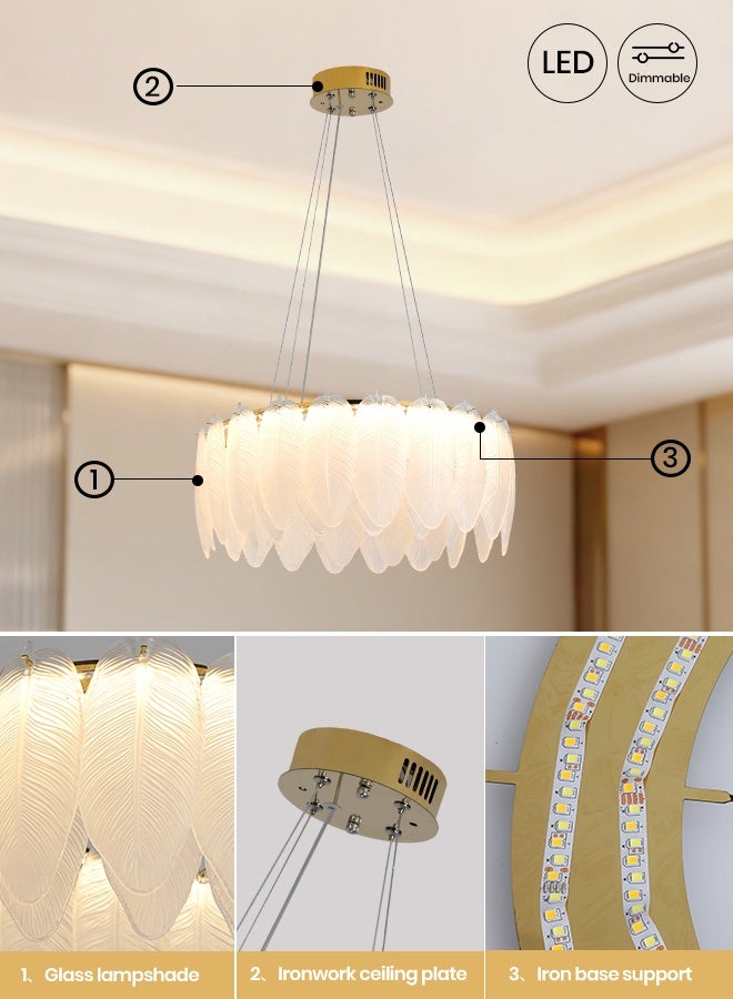 YATAI LIGHTING ثريا LED فن الريش المتدفق، ضوء معلق زجاجي ذهبي بقطر 19.6 بوصة، 100 واط ثلاثي الألوان قابل للتعديل، إضاءة فاخرة عصرية لغرفة المعيشة وغرفة الطعام - Image 2