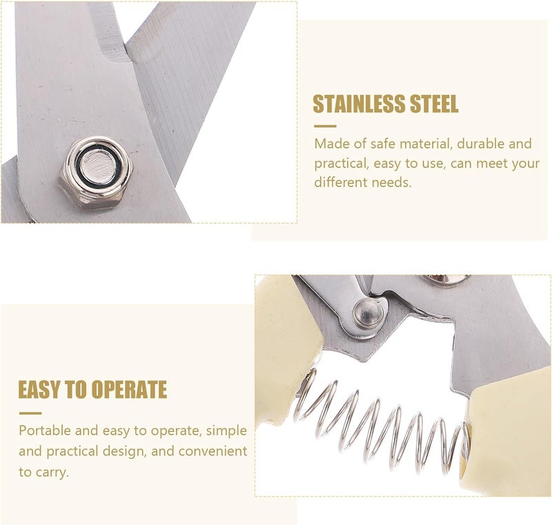HANABASS Stainless Steel Pruning Shears and Branch Scissors for Gardening with Straight Head, Sturdy Horticulture Shears Suitable for Fruit Trees and Lawn Care - Image 3