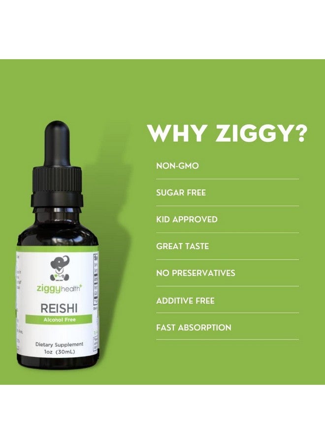 Ziggy Baby مستخلص فطر الريشي - صبغة سائلة - مكمل لدعم المناعة ودعم الدماغ، دعم وظيفة الكبد الصحية، معزز للطاقة، وتحسين النوم، 1 أونصة من زيغي هيلث - Image 2