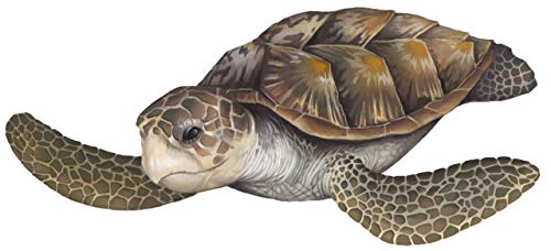 Create-A-Mural : Sea Turtle Wall Decal ~Realistic Undersea Animal for Kids Room Decor - Image 1