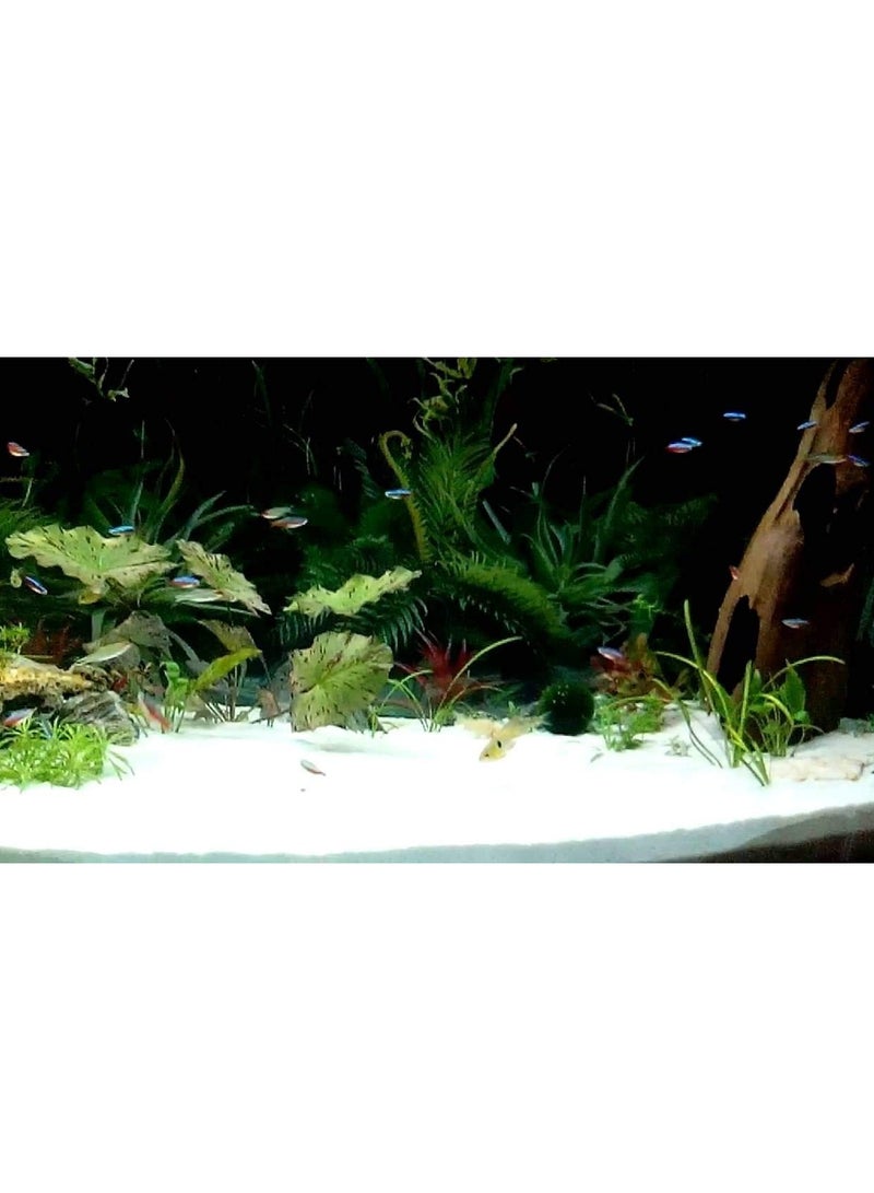 vsell24 Pristine White Sugar Sand 80-120µm: Perfect for Aquascaping, Water Filtration, Terrariums, Craft Projects, and Natural Aquarium Bases - Image 3