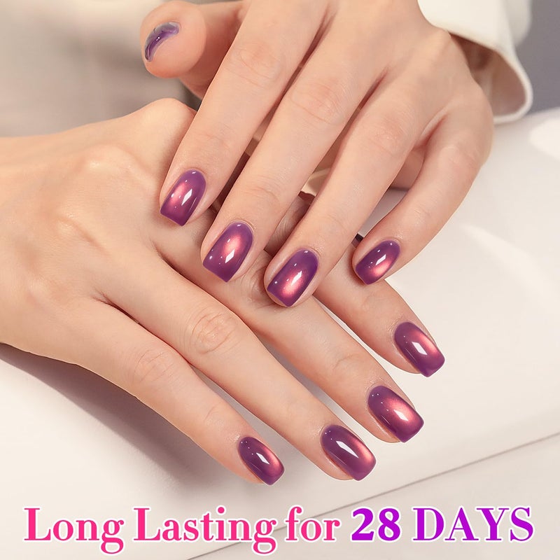 Double Rhythm 0.5 OZ Cat Eye Gel Polish with Magnet 15ML Holographic Glitter Shimmer Translucent Jelly Color Magnetic Nail Polish Salon DIY at Home (Drak Purple-MC1248) - Image 2