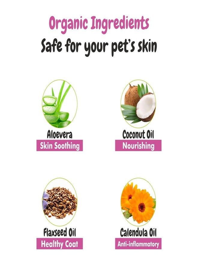 هارودز شامبو بي إس سي إل واي مياو للقطط 200 مل - غني بخلاصة الشوفان وزيت جوز الهند - يرطب ويعالج جلد القطط. شامبو للقطط الفارسية، مناسب لتساقط الشعر، والقطط العادية، والقطط الصغيرة. - Image 2