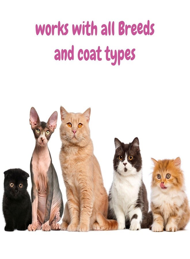 هارودز شامبو بي إس سي إل واي مياو للقطط 200 مل - غني بخلاصة الشوفان وزيت جوز الهند - يرطب ويعالج جلد القطط. شامبو للقطط الفارسية، مناسب لتساقط الشعر، والقطط العادية، والقطط الصغيرة. - Image 5