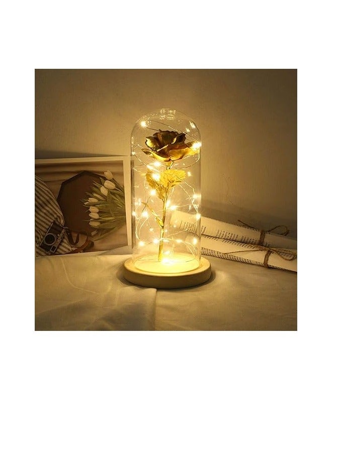 Home Decoration Rose Flower with LED Light, Preserved Immortal Rose, Romantic Festival Home Party Floral Decoration - Image 1