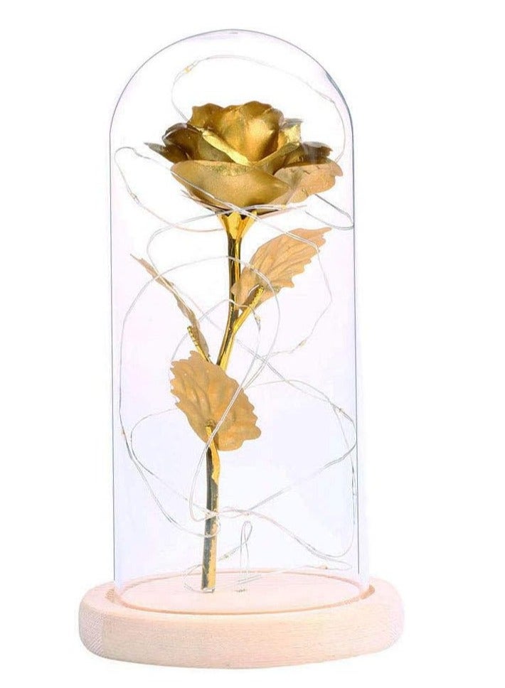 Home Decoration Rose Flower with LED Light, Preserved Immortal Rose, Romantic Festival Home Party Floral Decoration - Image 3