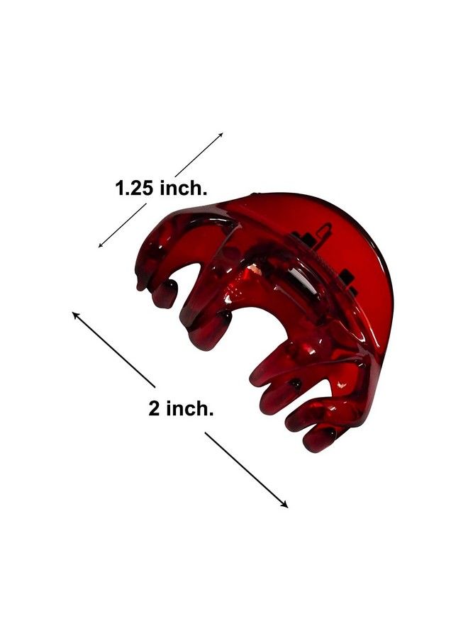 Nat Hair Clips/Claw For Women And Girls (Pack Of 3 Multicolor) - Image 4