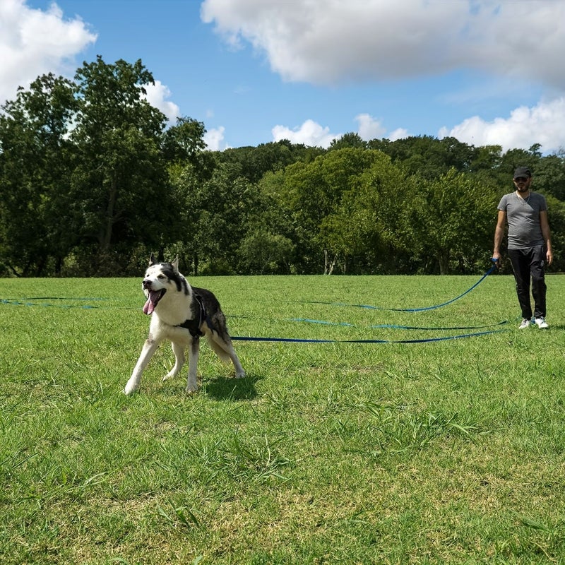 Blue XL 1000m 500cm Dog Puppy Obedience Recall Training Agility Lead Durable PP Material Adjustable Swivel Clasp Ideal for Play Camping or Backyard Use - Image 3