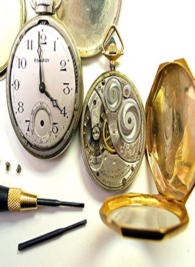 جينيرال تولز مجموعة مفكات براغي دقيقة 63518 من جنرال تولز، مكونة من ثمانية عشر قطعة، لون أسود - Image 5