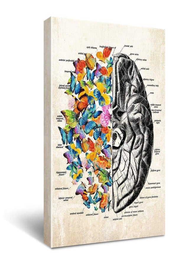 Hijie Anatomy Brain Canvas Wall Art for Doctor Office Decor, Gift for Medical School Graduation, Social Worker Graduation Gift, Occupational Therapist Gift, Psychological Doctor Gift Size 11.5 " X 15 " - Image 1