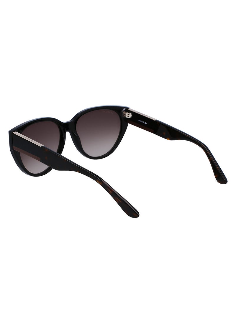 LACOSTE إطار بيضاوي أسيتات كامل الحواف لاكوست صنز L985S 5916 (001) أسود  - Image 3