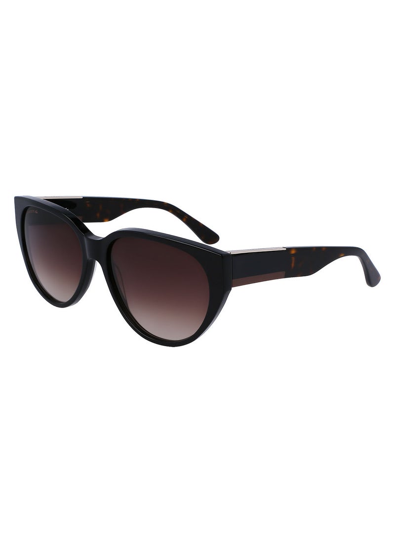 LACOSTE إطار بيضاوي أسيتات كامل الحواف لاكوست صنز L985S 5916 (001) أسود  - Image 1