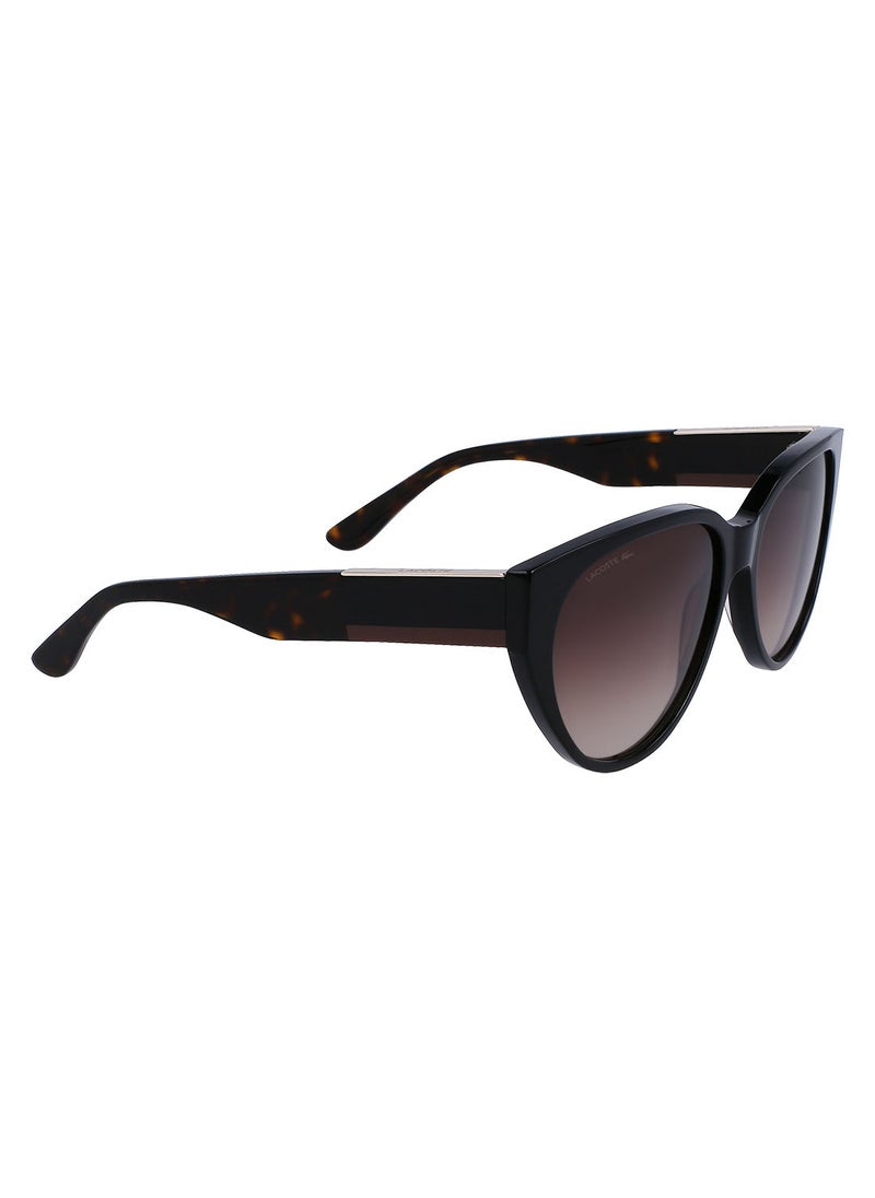 LACOSTE إطار بيضاوي أسيتات كامل الحواف لاكوست صنز L985S 5916 (001) أسود  - Image 2