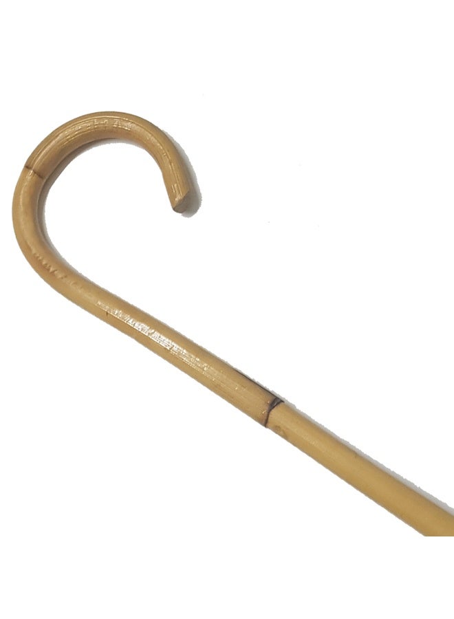 عصا مصنوعة من خشب الزان الأسواني، للرجال، لون الخشب نفسة عكاز اسواني - Image 2