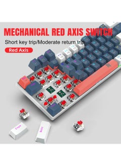 Rock Pow ROCK POW 60% Mechanical Gaming Keyboard, 61keys RGB Backlit Ultra-Compact Mini Keyboard, Waterproof Mini Compact Keyboard for PC/Mac Gamer, Typist,Trip Hot Swappable Red Switch  - Image 2