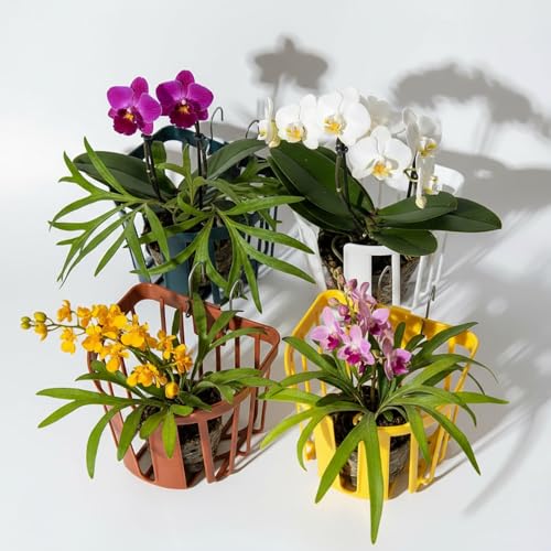 Dranvosk Staghorn Fern Mount Wall Planter Basket Vertical Orchid Hanging Planter for Indoor Outdoor Wall Plant Holder,4PCS - Image 1