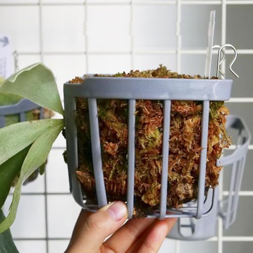 Dranvosk Staghorn Fern Mount Wall Planter Basket Vertical Orchid Hanging Planter for Indoor Outdoor Wall Plant Holder,4PCS - Image 5