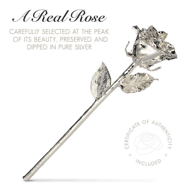 Forever Rose Bloom Box Bundle - a Genuine  One of a Kind  Real Rose Hand Dipped in Silver with Beautiful Phantom Vase and Blooming Box - Image 2