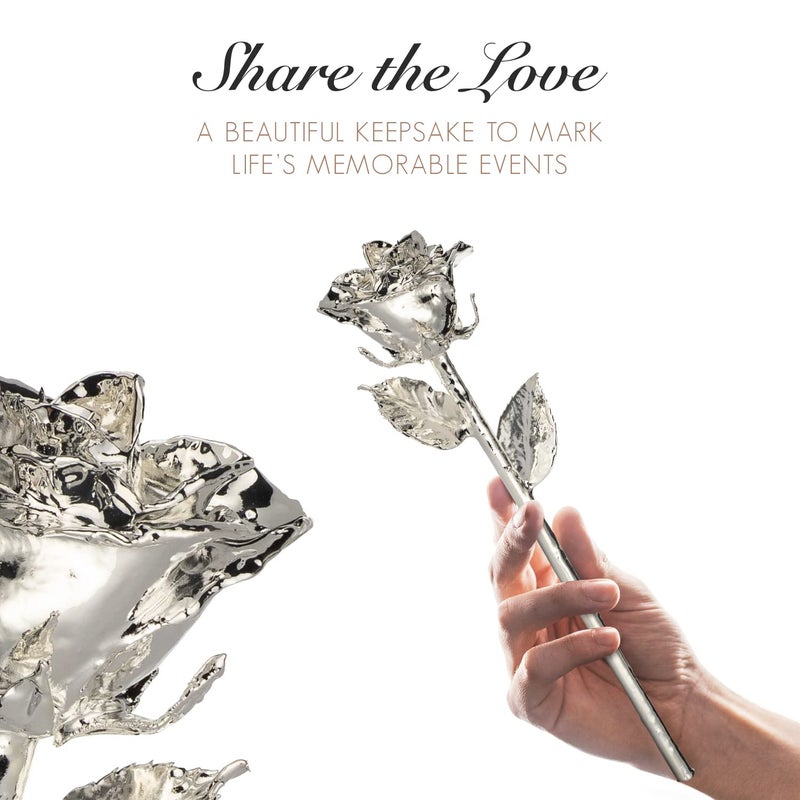 Forever Rose Bloom Box Bundle - a Genuine  One of a Kind  Real Rose Hand Dipped in Silver with Beautiful Phantom Vase and Blooming Box - Image 5