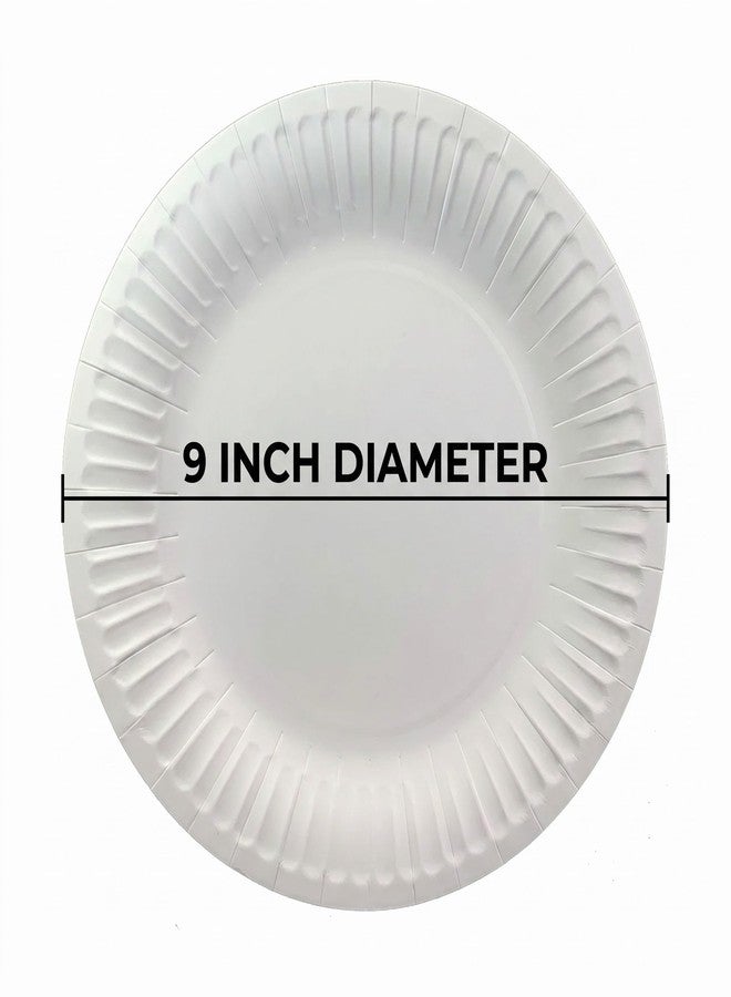 TLAPS 9 Inch White Heavyweight Grease-Resistant Coated Paper Plates 125-Pack Commercial Eco-Friendly Disposable for Restaurants, Catering, and Food Service - Image 4