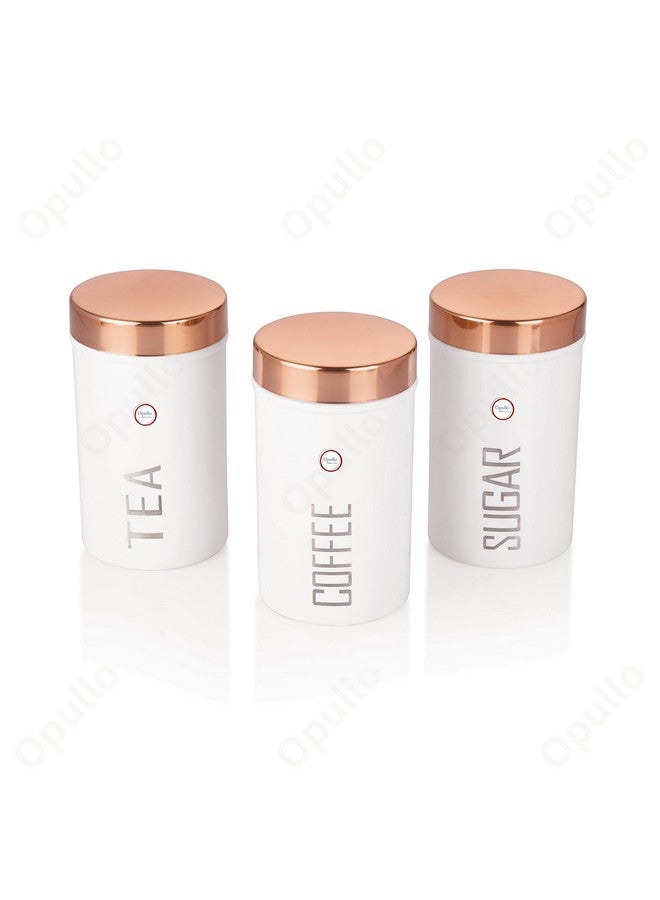 Opullo Mother's Choice Tea Coffee Sugar Containers Set | Coffee Tea Sugar Container Set | Stainless Steel Coffee Tea Sugar Canister Set of 3 | 500 Gms - Image 4