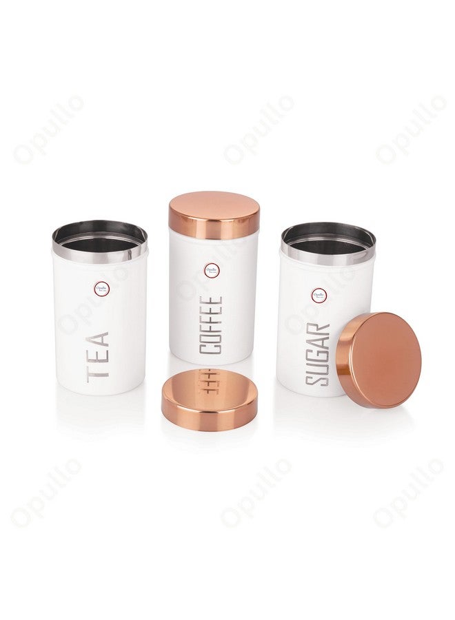 Opullo Mother's Choice Tea Coffee Sugar Containers Set | Coffee Tea Sugar Container Set | Stainless Steel Coffee Tea Sugar Canister Set of 3 | 500 Gms - Image 5