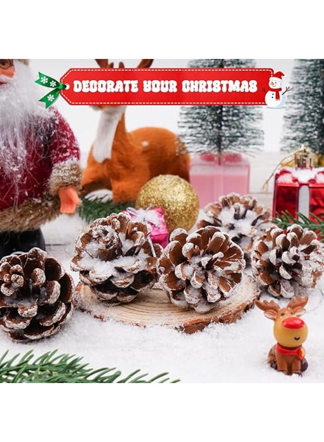 9 pieces - Natural Pine Cones for Crafts - Image 2
