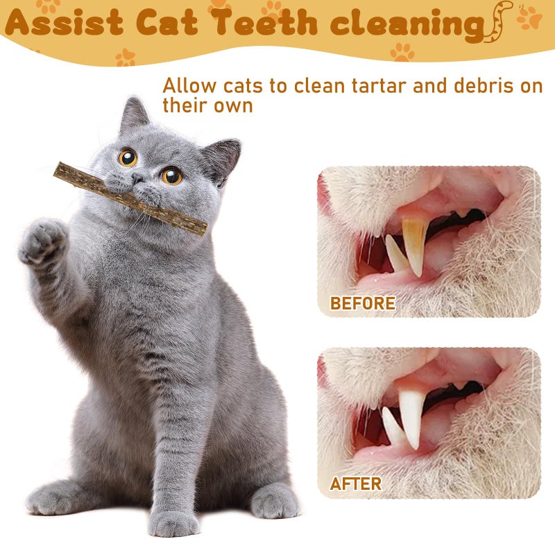 WoLover Silvervine Sticks for Cats, Natural Catnip Matatabi Chew Sticks Teeth Molar Chew Toys for Cat Kitten Kitty (at Least 12 PCS) - Image 5