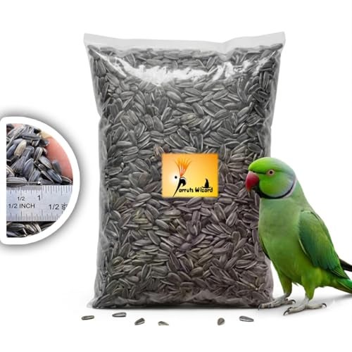 Parrots Wizard All Life Stages Dry Bird Food Small Size Sunflower Seeds for Bird 900 Grams - Image 2
