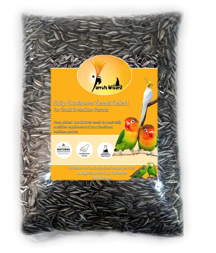 Parrots Wizard All Life Stages Dry Bird Food Small Size Sunflower Seeds for Bird 900 Grams - Image 1