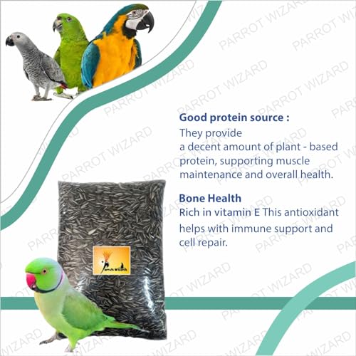 Parrots Wizard All Life Stages Dry Bird Food Small Size Sunflower Seeds for Bird 900 Grams - Image 5