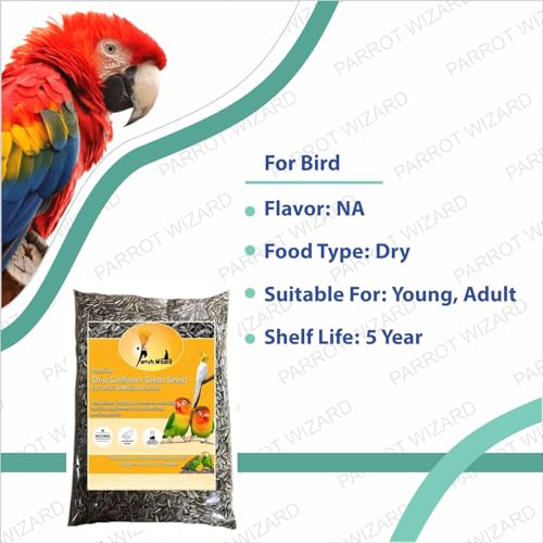 Parrots Wizard All Life Stages Dry Bird Food Small Size Sunflower Seeds for Bird 900 Grams - Image 3