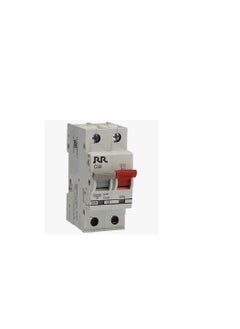 RR RR MCB Double Pole C Curve 10kA 32A - RR-MDP32 