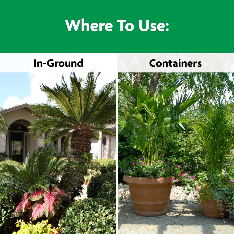 Miracle-Gro Shake 'N Feed Palm Plant Food, 8 lb., Feeds up to 3 Months - Image 4