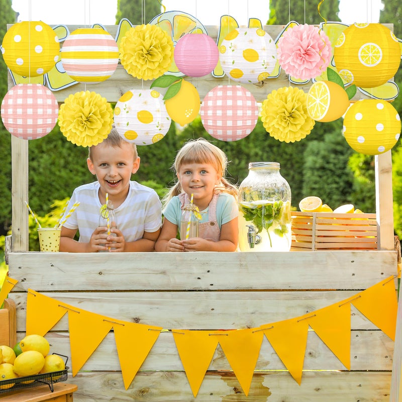 Renbuzhu 15PCS Summer Lemon Party Decorations Paper Lanterns Pom Poms Hanging Swirls Yellow Pink Theme Lemonade Stand Italian Decor for Birthday Home Backyard Indoor Outdoor - Image 4