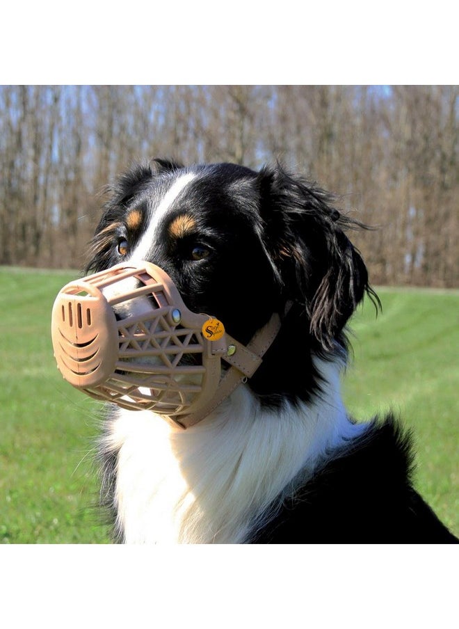 Sage Square Muzzle For Dogs | Plastic Dog Muzzle | Anti Bite Adjustable Pet Basket | Dogs Training Mouth Cover Mesh Cage | Breathable Comfortable | Pack Of 1 (X-Large)  - Image 5