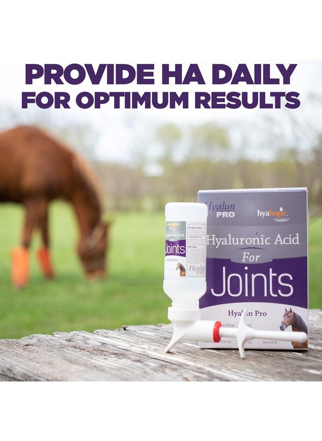 Hyalogic Hyalogic Hyaluronic Acid for Horses 90 Day Supply - 9oz - Easy Oral Tip Dispenser - Liquid HA Supplement for Equine Joints and Cartilage Support - Hyalun Pro - 9 oz / 296ml  - Image 2