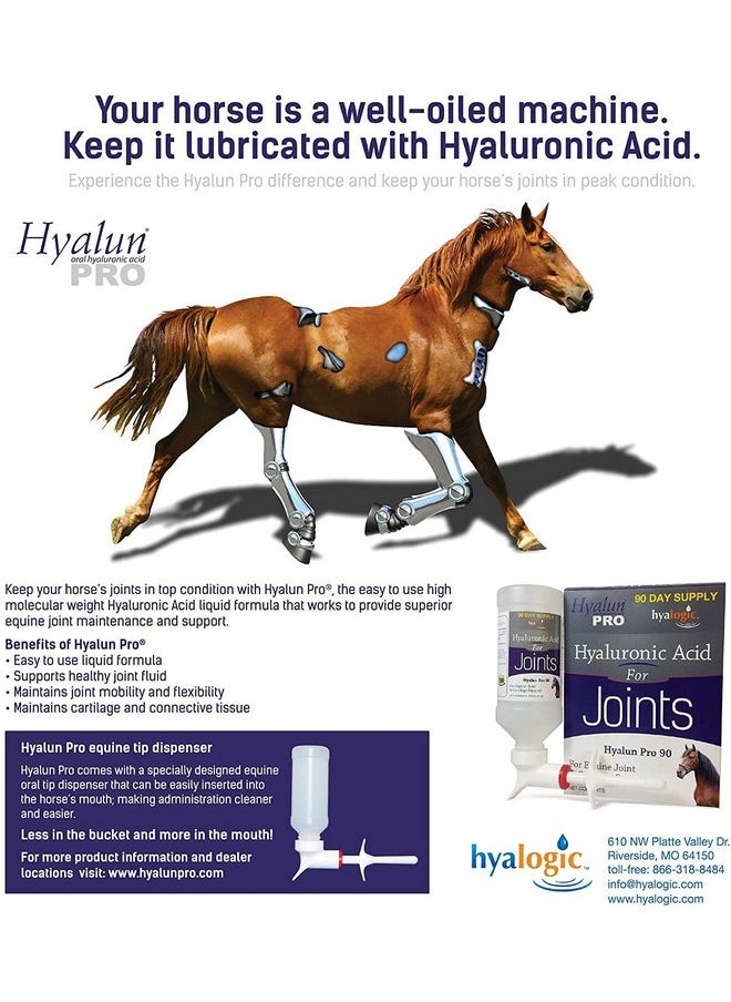 Hyalogic Hyalogic Hyaluronic Acid for Horses 90 Day Supply - 9oz - Easy Oral Tip Dispenser - Liquid HA Supplement for Equine Joints and Cartilage Support - Hyalun Pro - 9 oz / 296ml  - Image 3