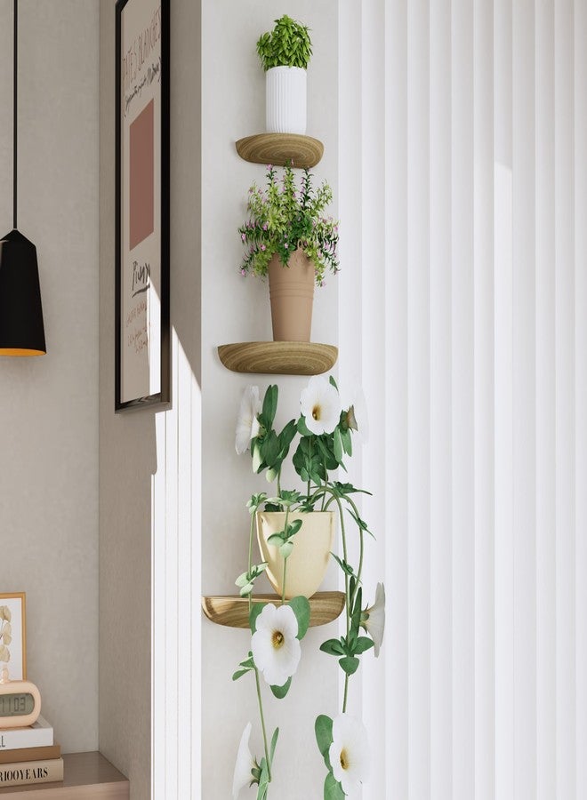 QsQueen Solid Wood Half Round Floating Wall Shelves | Elegant Floating Shelves, Elevate Your Space. Perfect for Living Rooms, Bathrooms, Bedrooms, Offices, Children's Rooms Light Brown - Image 2